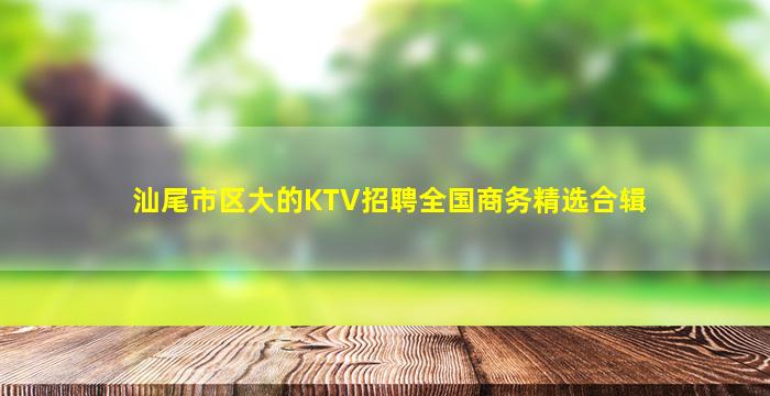 汕尾市区大的KTV招聘全国商务精选合辑